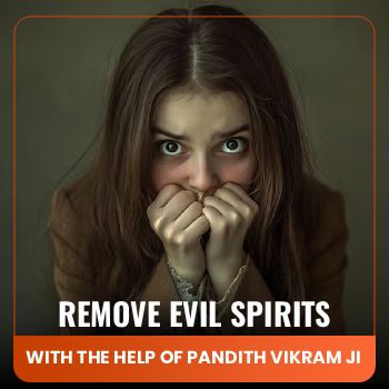 vikramji-adv-8